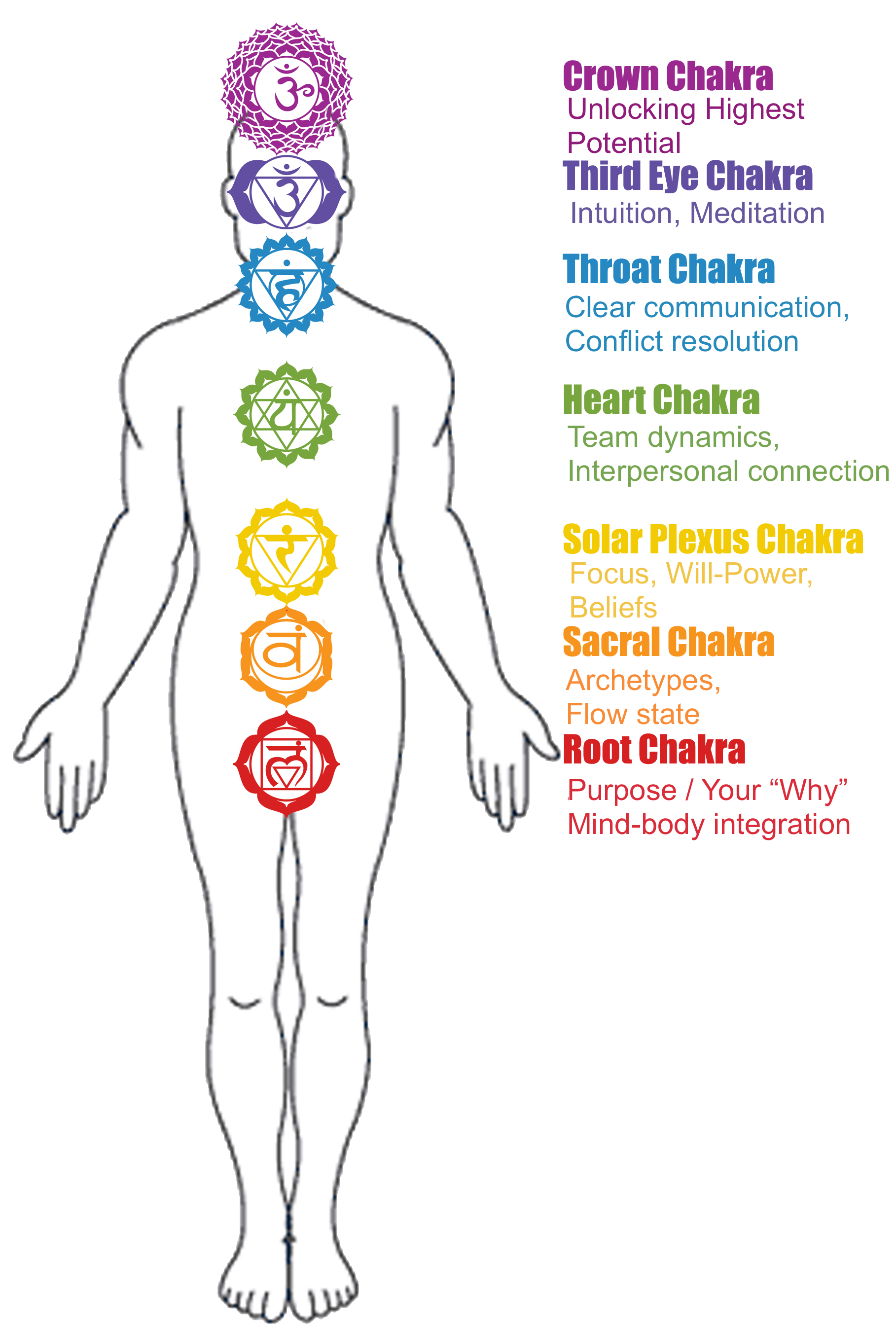 startup-chakras-tt